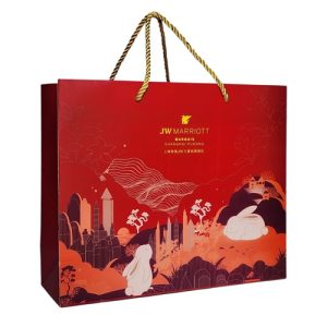 Custom Printed Full Colour Luxury Gift  Bags