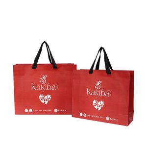 Custom Printed Colour Gift Bags