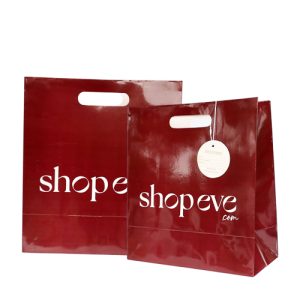 Custom Printed Full Colour Luxury Gift  Bag