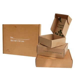 Custom Printed Self lock Kraft Box - Colour Logo